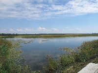 �N���A�`�A���n���K���[�̍���