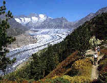 wpeB.jpg (8179 �o�C�g)